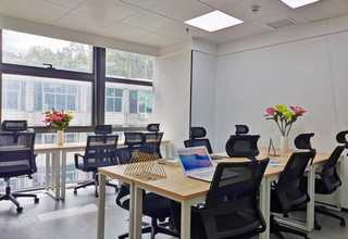 上海专业智能叉车