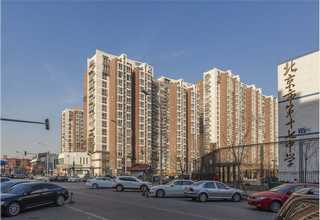 云亭新品绿植租赁市场价格