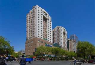 湛江化工行业网络推广效果